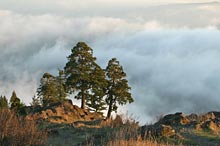 Spencer Butte, Eugene, Oregon