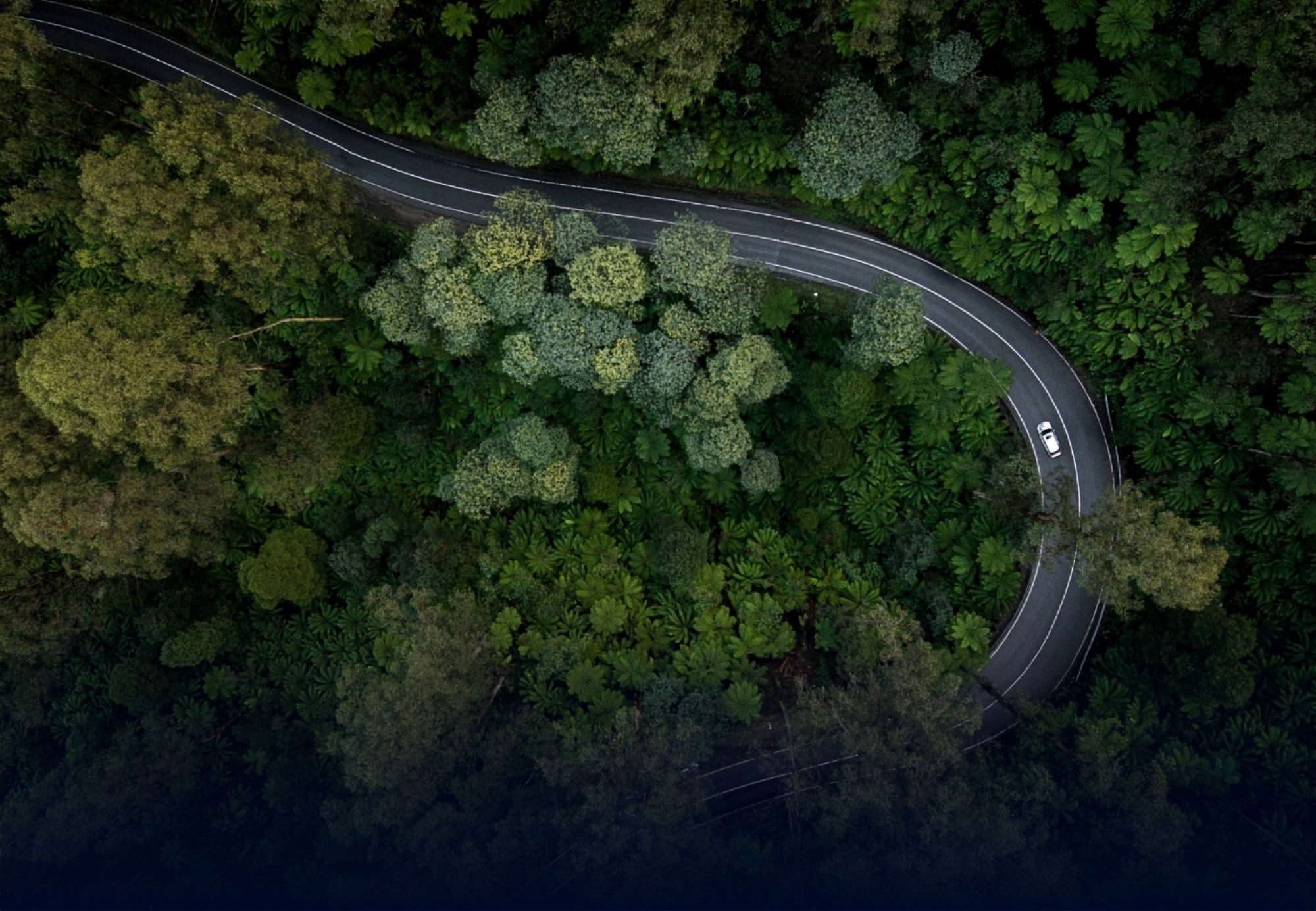FCL092 – Image of a vehicle on a road